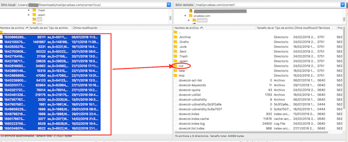 Copiar el contenido de la carpeta cur Copiar el contenido de la carpeta cur