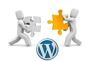 Modificar el Nombre de Usuario Modificar el Nombre de Usuario en WordPress