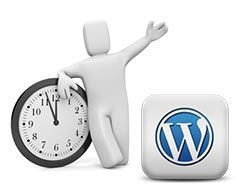 Insertar caducidad en las entradas Insertar caducidad en las entradas de WordPress