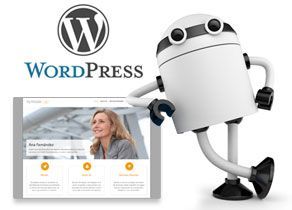 Pack WordPress Intuition icono pack wordpress intuition