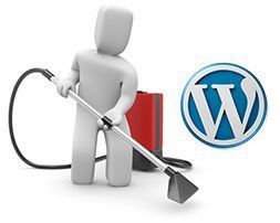 Realiza una limpieza y mejora el rendimiento de tu base de datos Realiza una limpieza y mejora el rendimiento de tu base de datos en WordPress