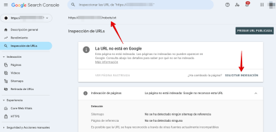 Inspección de URLs 2025 02 02 12 24 28
