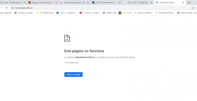 error despues de cambiar la url de prestashop y pulsar en ver mi tienda