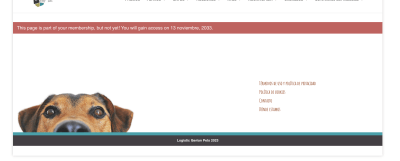 Screenshot 2023 11 13 at 11.42.43