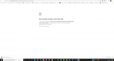 error al subir un plugin