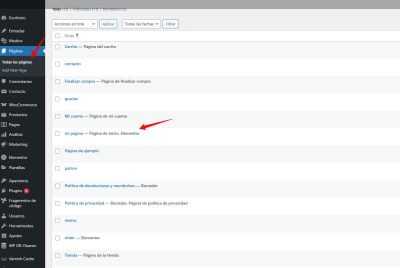 Páginas Mi Sitio WordPress — WordPress 10 20 2025 08 08 AM