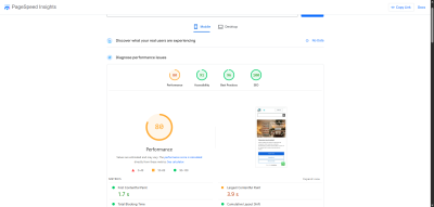 PageSpeed Insights 11 30 2025 12 30 PM (1)