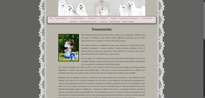 Acerca de nosotros Malteses De la Xana Astur 01 23 2026 09 08 AM