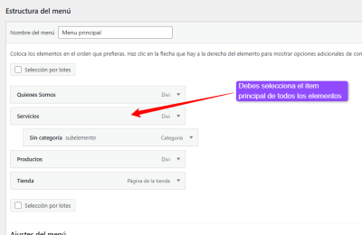 Menús Webempresa sitio — WordPress 02 05 2026 09 08 AM