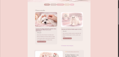 Blog del Bichón Maltés Consejos y cuidados De La Xana Astur 02 15 2026 06 07 PM