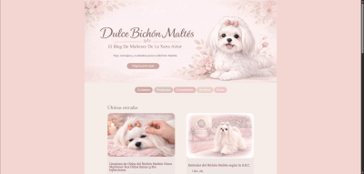 Blog del Bichón Maltés Consejos y cuidados De La Xana Astur 02 16 2026 10 20 AM