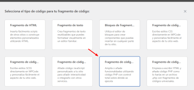 Añadir fragmento de WPCode amapola conscius fit — WordPress 04 07 2026 05 44 PM