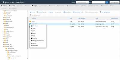 FireShot Capture 113   Administrador de archivos cPanel v3   cp625.webempresa.eu