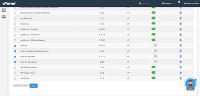 FireShot Capture 118   cPanel   WordPress Center   cp625.webempresa.eu