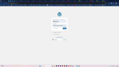 Captura de pantalla 2025 11 17 143320
