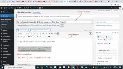 Titulos posts cuadro texto editor texto