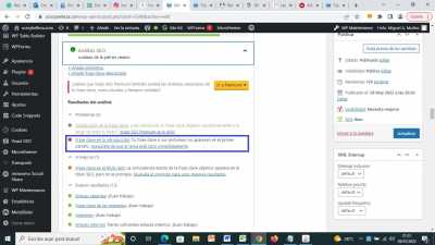 Yoast SEO primer parrafo