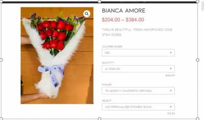 bianca amore 24 rosas1