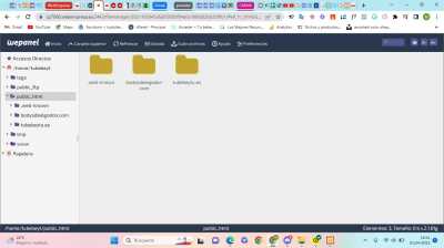 Carpeta public html