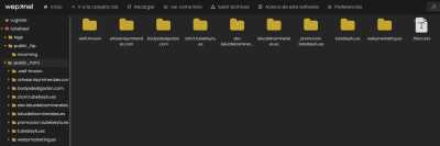Webs en hosting