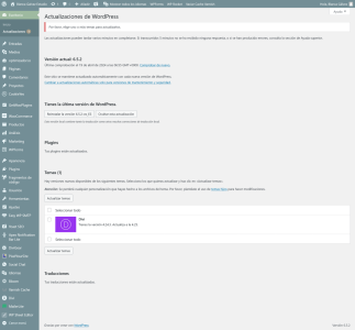 Screenshot 2024 04 19 at 09 01 57 Actualizaciones de WordPress Blanca Galvez Estudio — WordPress