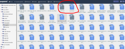  home miwebdei public html wp content languages plugins Administrador de Archivos de WePanel 20230228 1