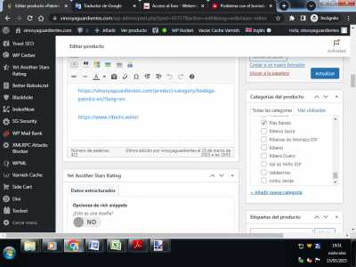 Version Ingles edicion producto salta una categoria que no deberia salir