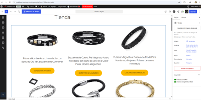 Tienda mafftheo con productos y no se visualiza en la Web 