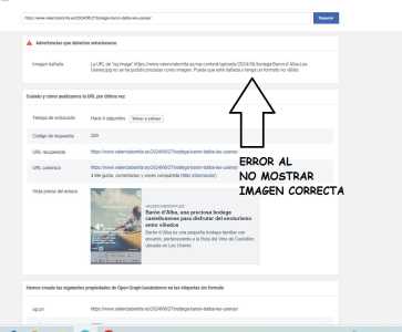 depurador 2