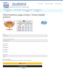 Seguir comprando