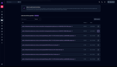 Hosting Optimización Disco