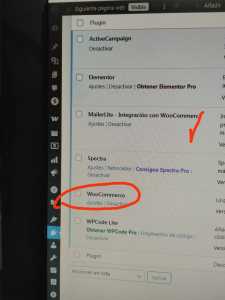 Eliminación plugin