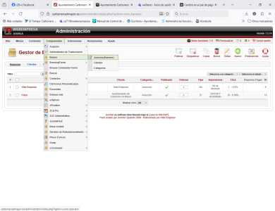 Cambio en el pie de página5
