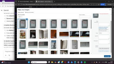 Captura de pantalla (303)