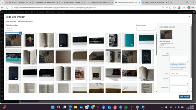 Captura de pantalla (467)