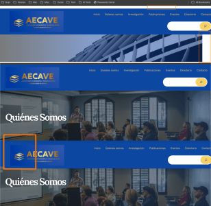 AECAVE Web 17*