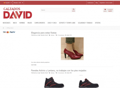 blog tienda