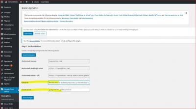 2 Plugin configuration