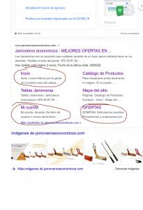 jamoneroseconomicos.com   Buscar con Google 1