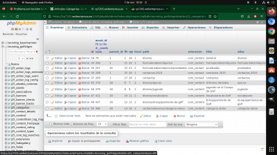 base de datos categorias