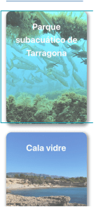screenshot www.allbluediving.com 2023.10.19 16 52 22