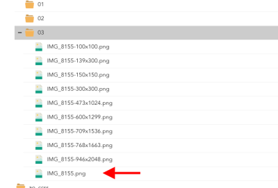 screenshot mary52.webempresa.eu 2024.03.02 13 14 29