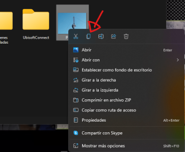copiar imagen