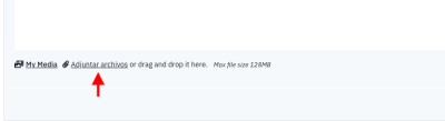 chrome capture 2025 4 24 (2)