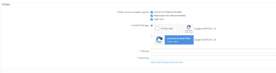 chrome capture 2025 7 17 (1)