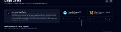 chrome capture 2025 8 7 (1)
