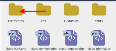 chrome capture 2025 12 1 (6)