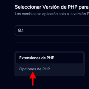 chrome capture 2025 12 2 (8)