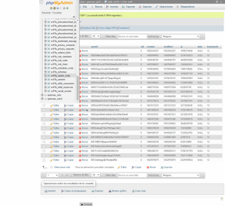 screencapture cp7118 webempresa eu 2443 phpMyAdmin index php 2022 06 15 18 46 32