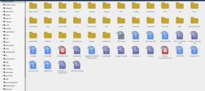 Copio archivos de novaweb